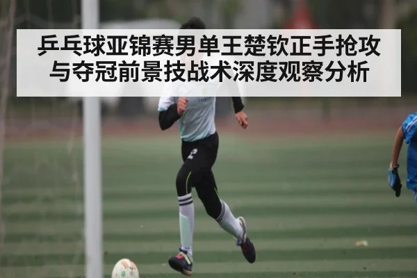 乒乓球亚锦赛男单王楚钦正手抢攻与夺冠前景技战术深度观察分析